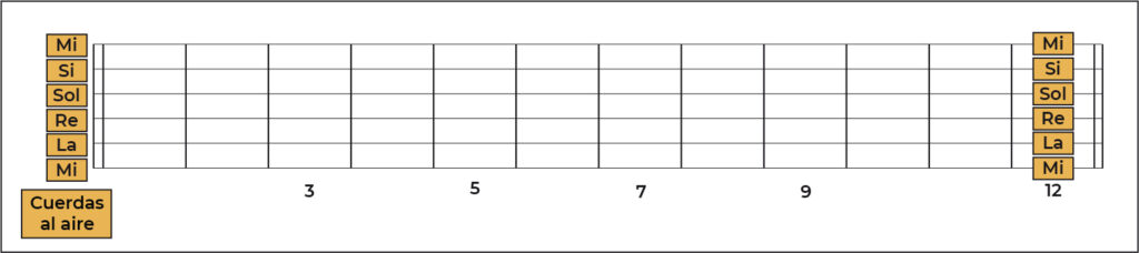 ▷ Memoriza las notas en guitarra con 7 ejercicios | Plug\u0026Learn